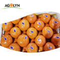 Fresh Juicy Sweet Mandrin Oranges